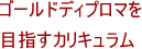 ゴールドディプロマを目指すカリキュラム